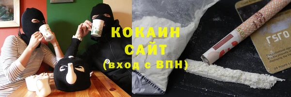 мдпв Горнозаводск