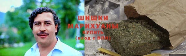 стаф Гусев