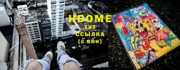 амф Гусь-Хрустальный