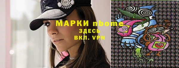 мдпв Горнозаводск