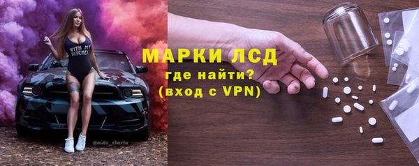 стаф Гусев