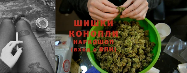амф Гусь-Хрустальный