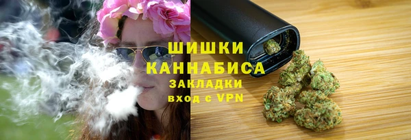 дурь Гусиноозёрск