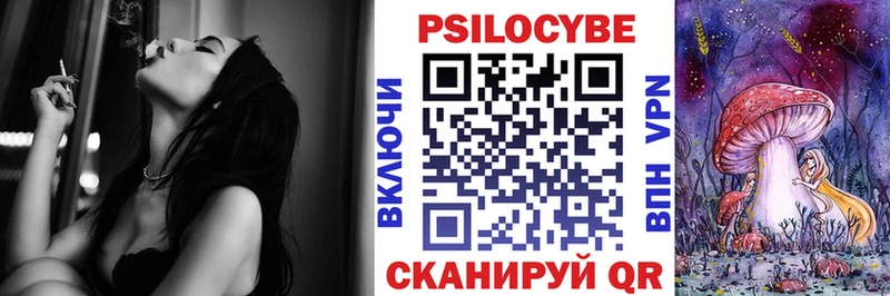 Купить где  Пошехонье  Галлюциногенные грибы Psilocybe 