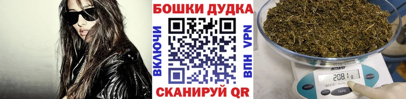Купить  Пошехонье  Бошки Шишки гибрид 